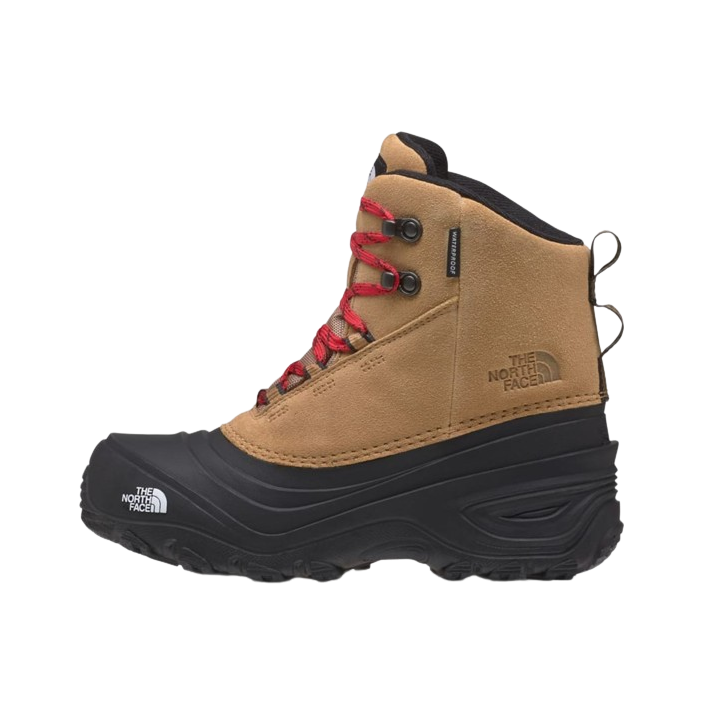 Y CHILKAT V LACE WP