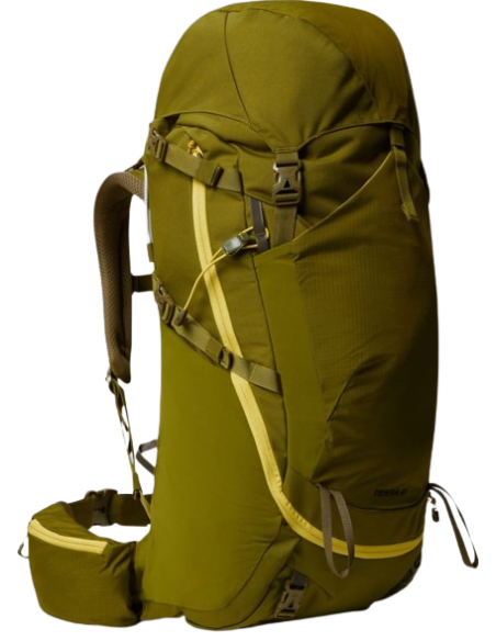 Y TERRA 50 Y TERRA 50