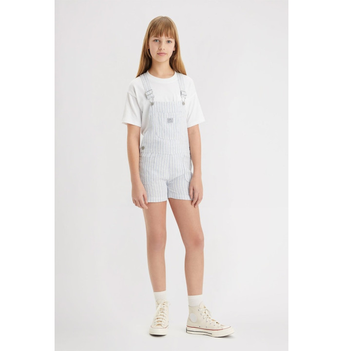 LVG UTILITY STRIPE SHORTALL