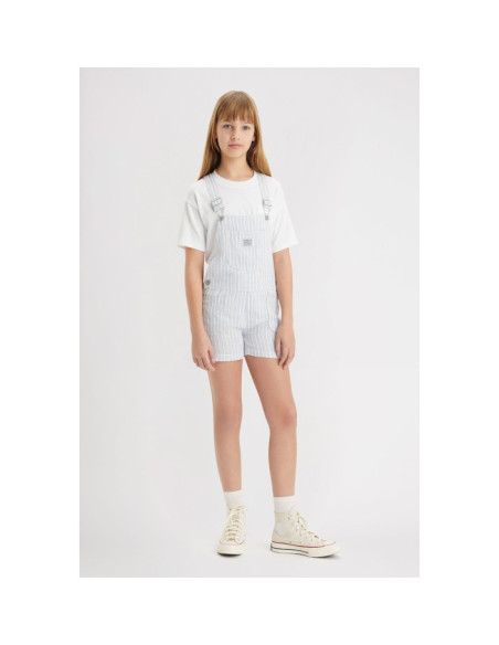 LVG UTILITY STRIPE SHORTALL