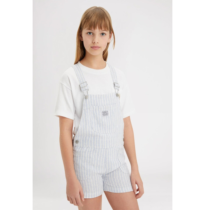 LVG UTILITY STRIPE SHORTALL