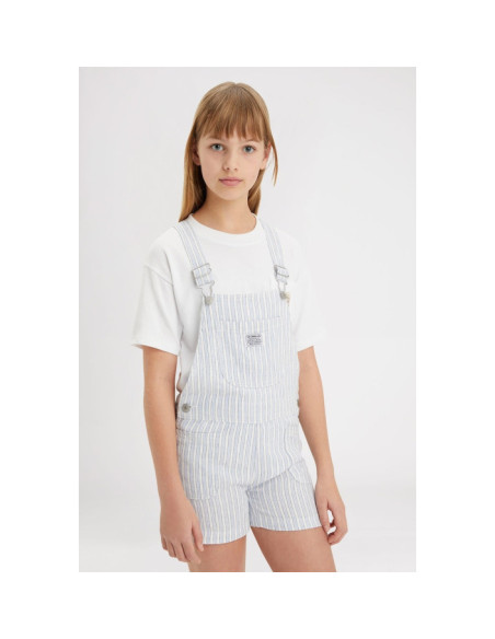 LVG UTILITY STRIPE SHORTALL