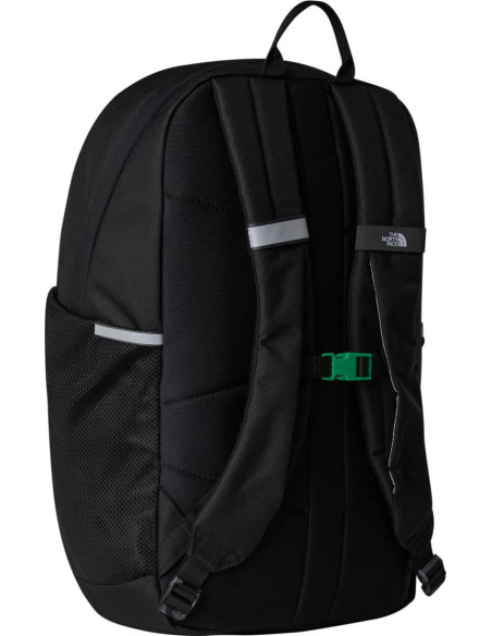 Y COURT JESTER Y COURT JESTER