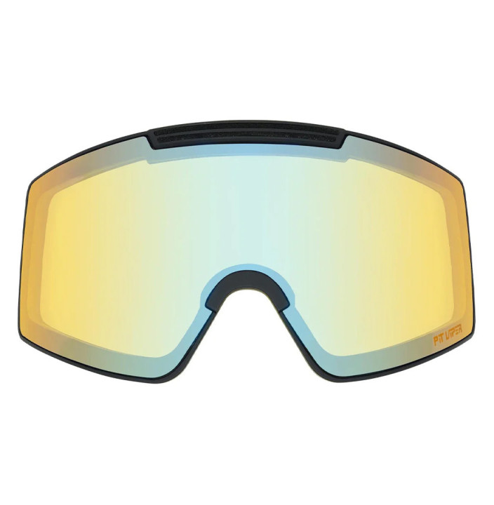 THE PROFORM GOGGLE