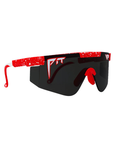 THE 2000S POLARIZED THE 2000S POLARIZED