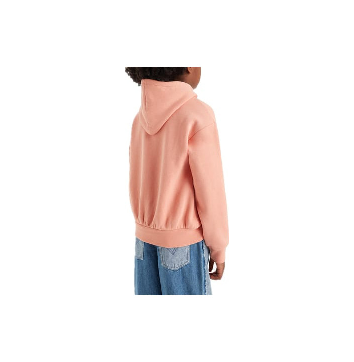 LVG POSTER LOGO HOODIE