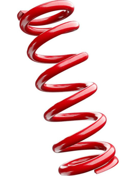 RECAMBIOS DE MUELLE 174MM