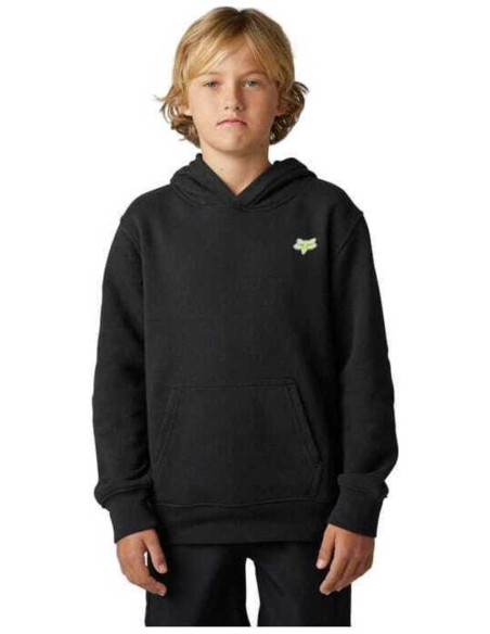 YTH MORPHIC PO FLEECE