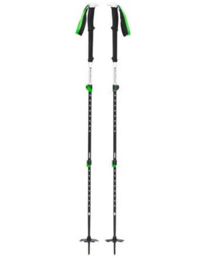 EXPEDITION 3 SKI POLES