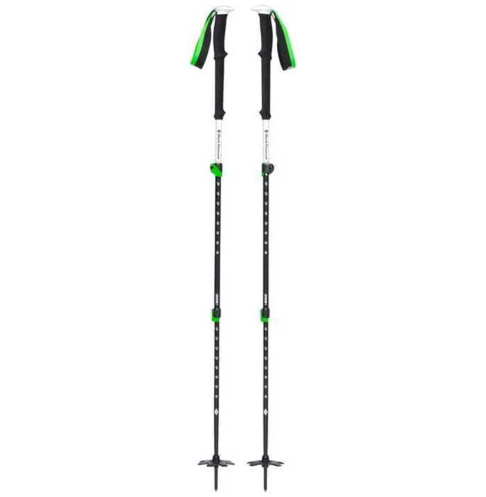 EXPEDITION 3 SKI POLES