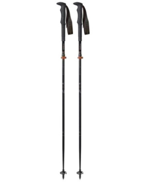 CARBON FXP.4 APPROACH - VARIO COMPACT