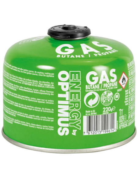 Cartouche Gaz 450g