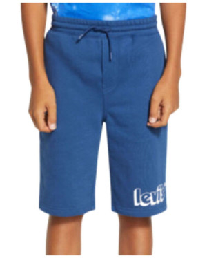 LVB GRAPHIC JOGGER SHORTS