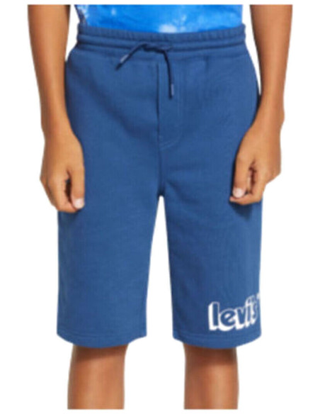 LVB GRAPHIC JOGGER SHORTS