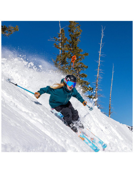 THE PROFORM GOGGLE