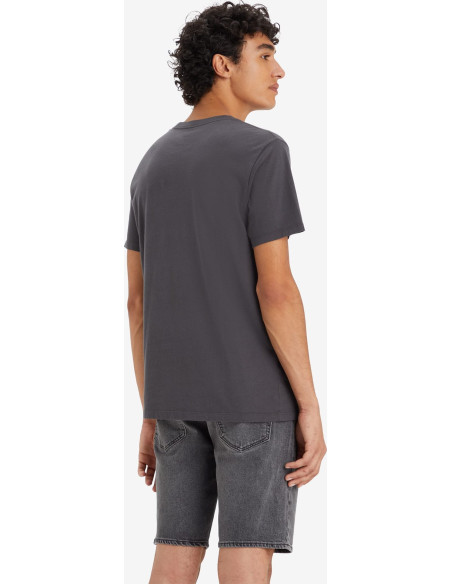 GRAPHIC SETIN NECK 2