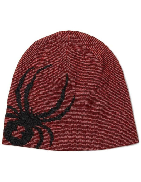 REVERSIBLE BUG REVERSIBLE BUG