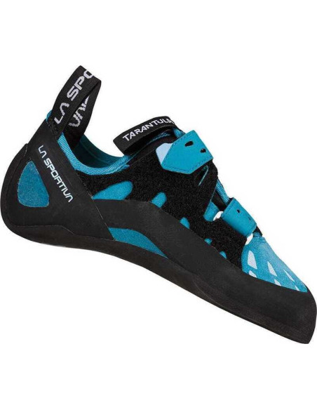 Tarantula Woman Tarantula Woman