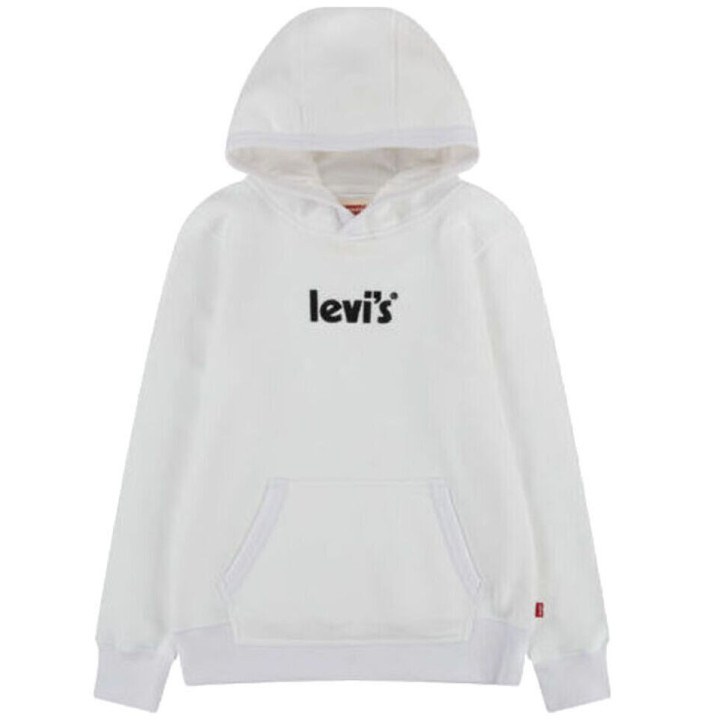 LVB LOGO PULLOVER HOODIE