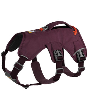 WEB MASTER HARNESS