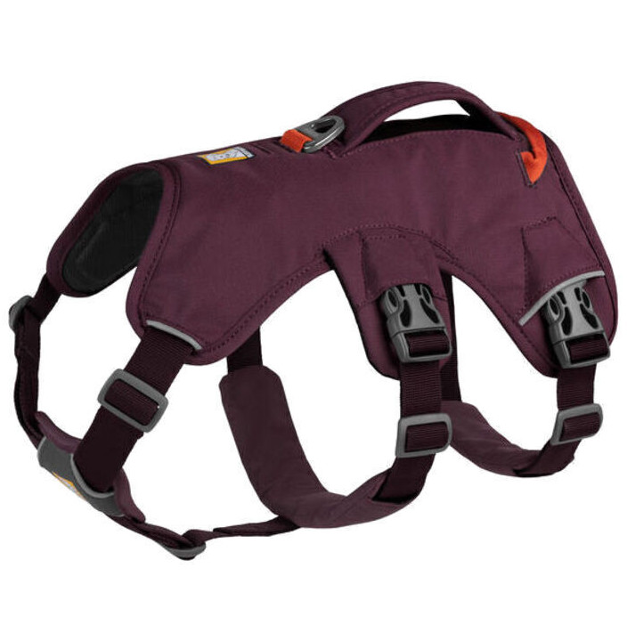 WEB MASTER HARNESS