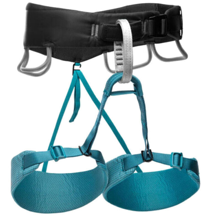 W MOMENTUM HARNESS