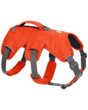 WEB MASTER HARNESS