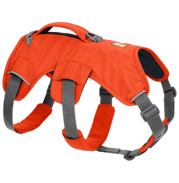 WEB MASTER HARNESS