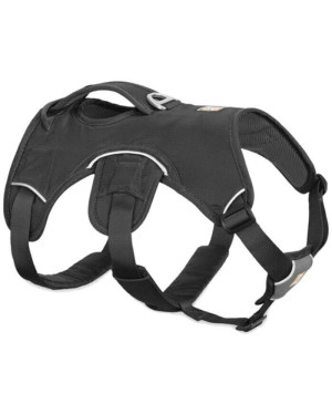 WEB MASTER HARNESS