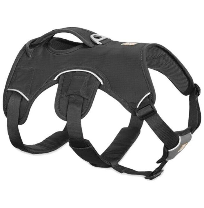 WEB MASTER HARNESS