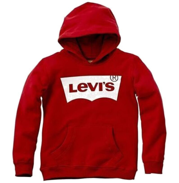 LVB-BATWING SCREENPRINT HOODIE