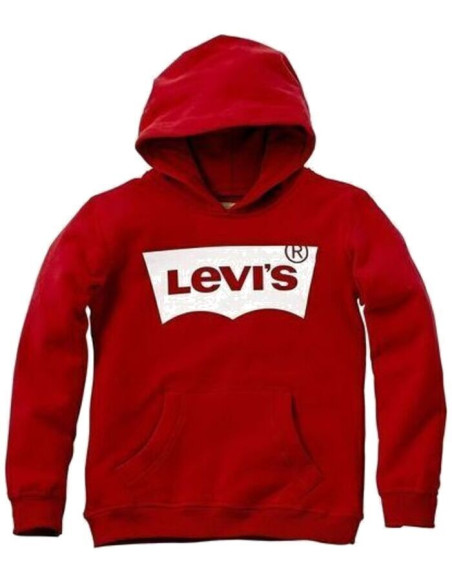 LVB-BATWING SCREENPRINT HOODIE