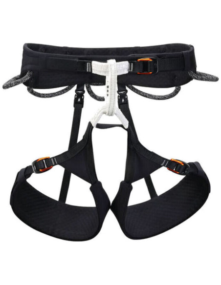 HARNAIS AQUILA HARNAIS AQUILA