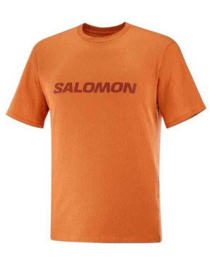 SALOMON LOGO PERFORMANCE