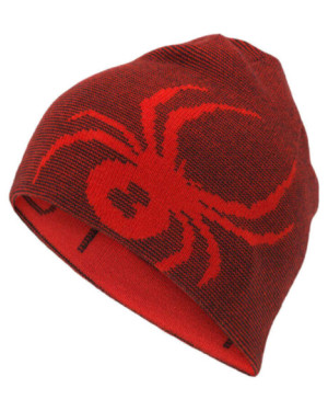 BOYS REVERSIBLE BUG HAT