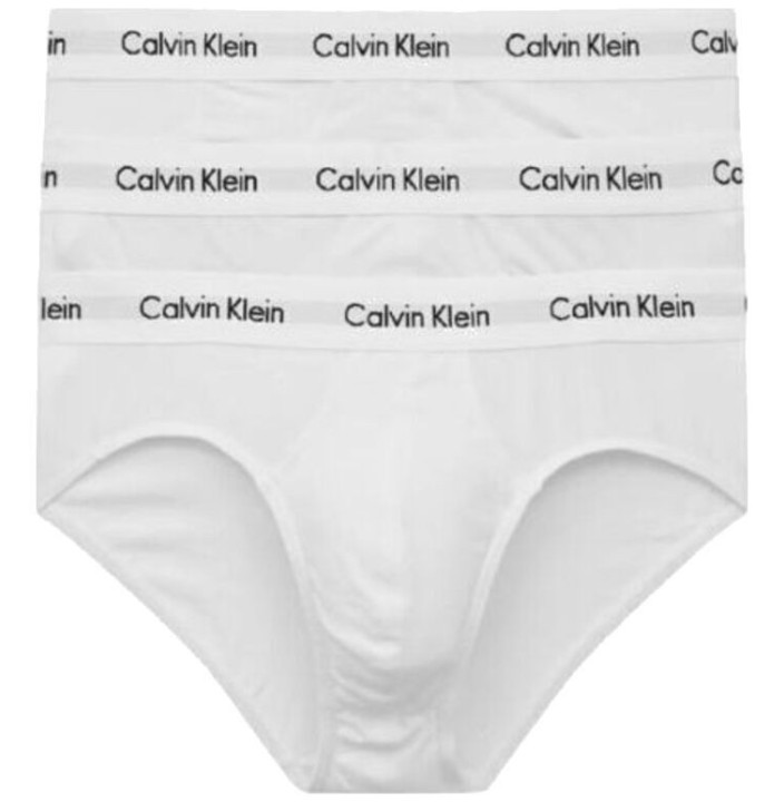 3P HIP BRIEF