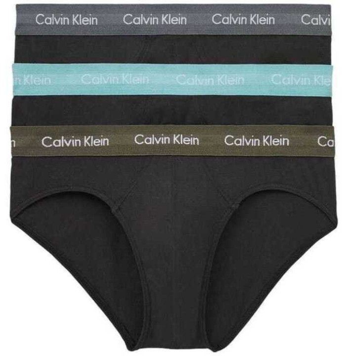 3P HIP BRIEF
