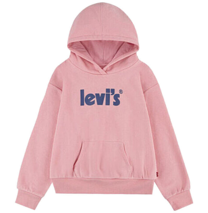 LVG POSTER LOGO HOODIE