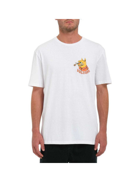 FA NANDO VON ARB SST