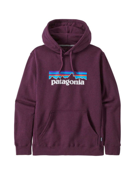 P-6 LOGO UPRISAL HOODY