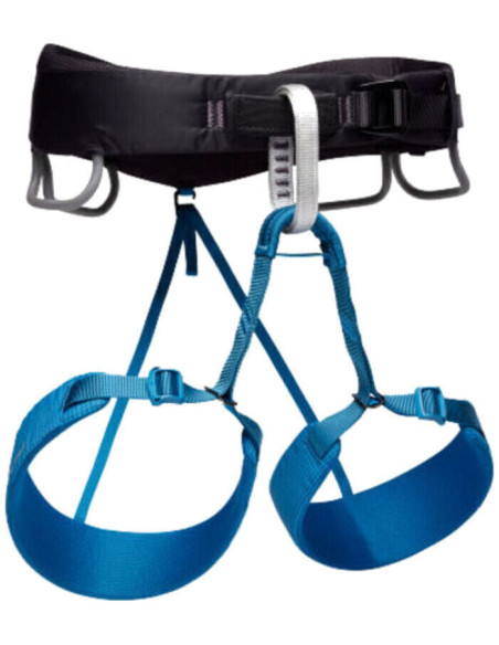 M MOMENTUM HARNESS M MOMENTUM HARNESS