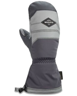 TEAM EXCURSION GORE-TEX MITT