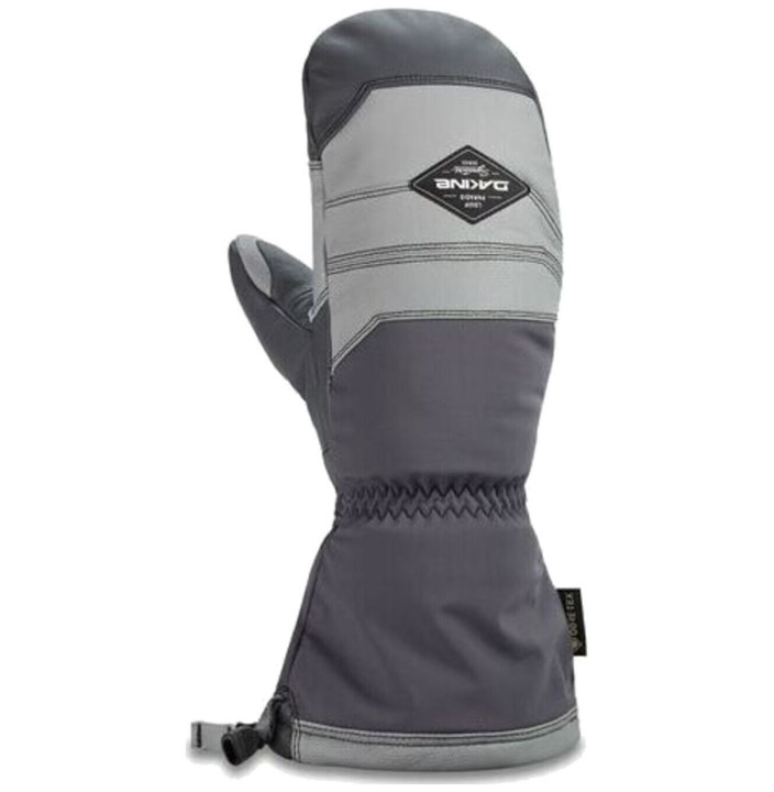 TEAM EXCURSION GORE-TEX MITT