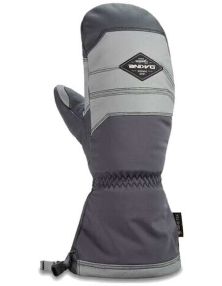 TEAM EXCURSION GORE-TEX MITT