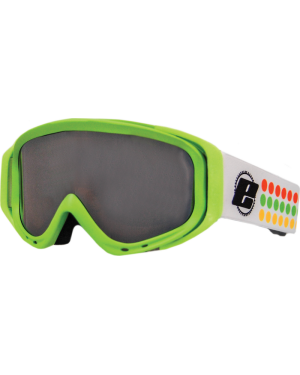 ROBIN GOGGLE