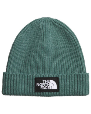 KIDS TNF BOX LOGO CUFFED BEANIE