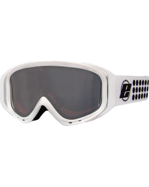 ROBIN GOGGLE