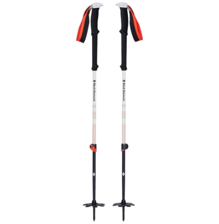 EXPEDITION 2 SKI POLES
