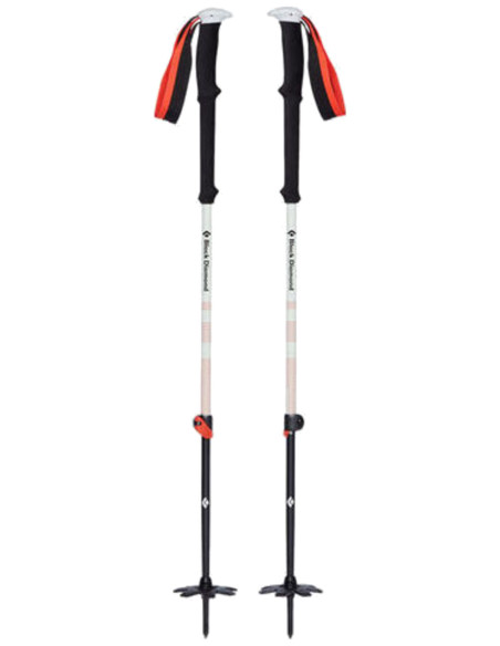 EXPEDITION 2 SKI POLES