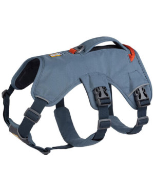 WEB MASTER HARNESS